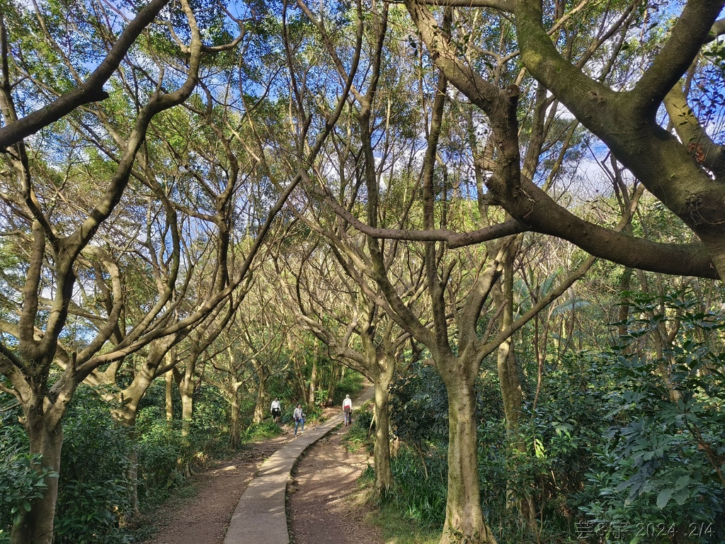 桃園虎頭山公園 の 虎頭山南南峰 & 虎頭山南峰 & 三分山