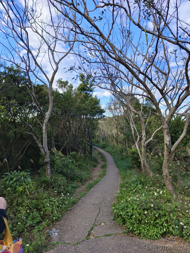 桃園虎頭山公園 の 虎頭山南南峰 & 虎頭山南峰 & 三分山