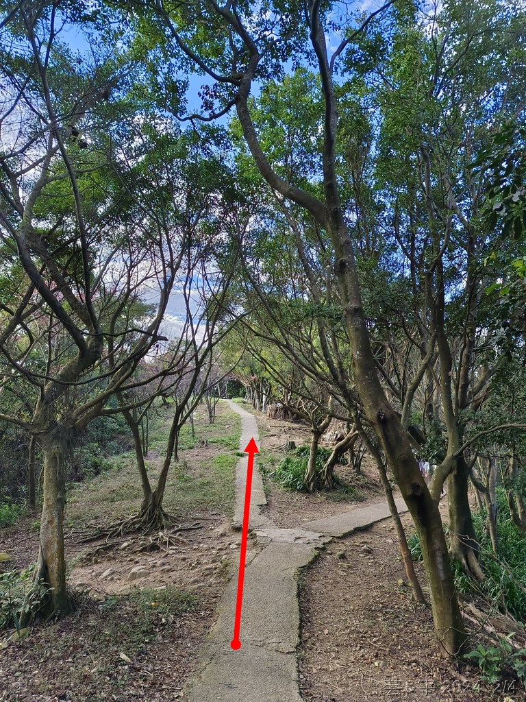 桃園虎頭山公園 の 虎頭山南南峰 & 虎頭山南峰 & 三分山