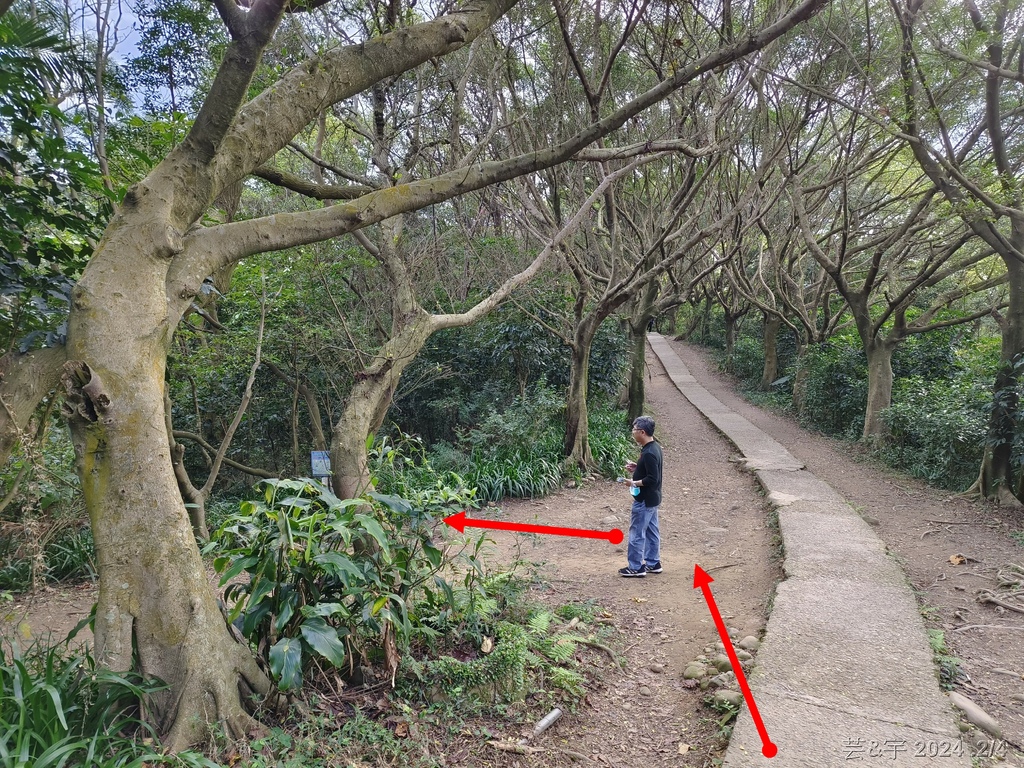 桃園虎頭山公園 の 虎頭山南南峰 & 虎頭山南峰 & 三分山