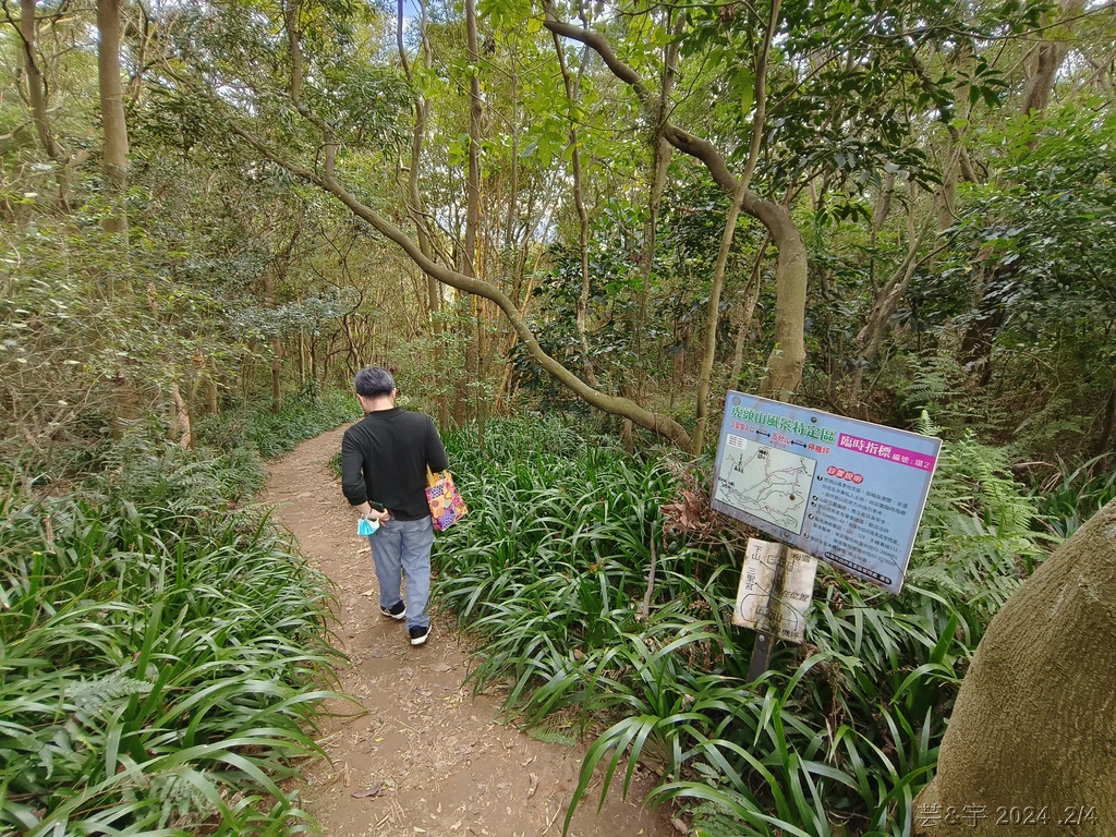 桃園虎頭山公園 の 虎頭山南南峰 & 虎頭山南峰 & 三分山