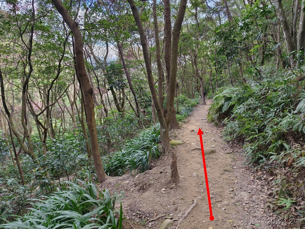 桃園虎頭山公園 の 虎頭山南南峰 & 虎頭山南峰 & 三分山