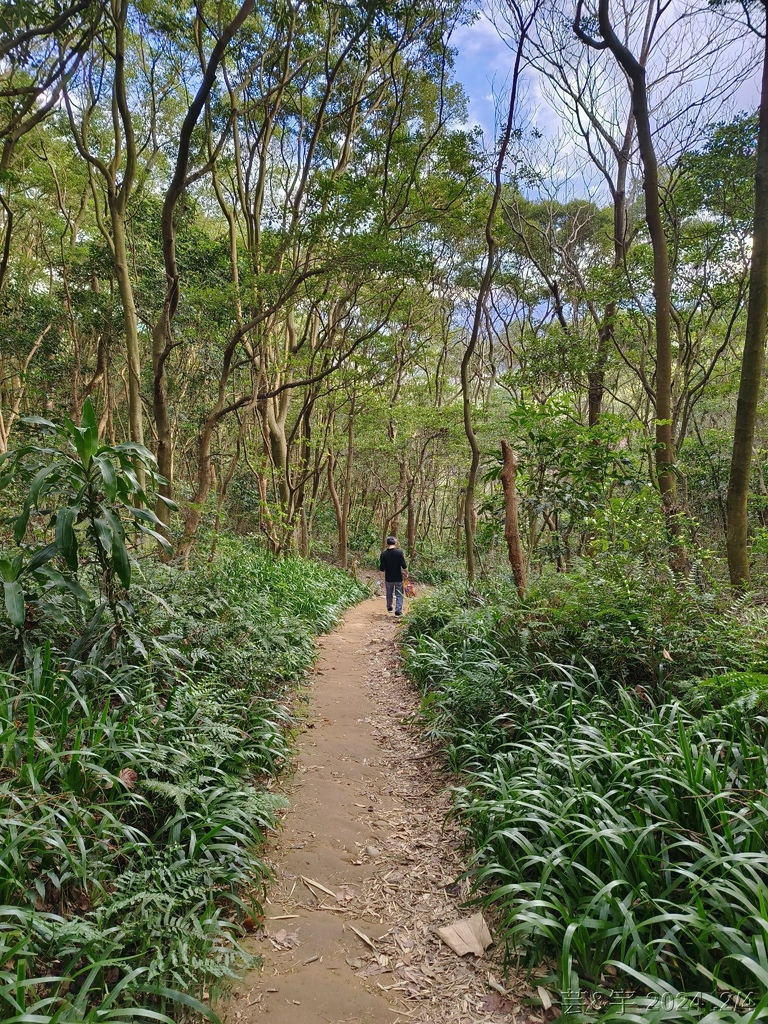 桃園虎頭山公園 の 虎頭山南南峰 & 虎頭山南峰 & 三分山