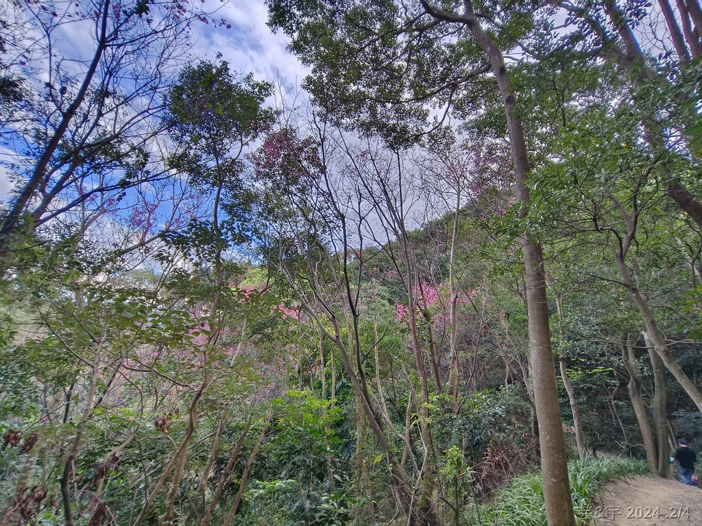 桃園虎頭山公園 の 虎頭山南南峰 & 虎頭山南峰 & 三分山