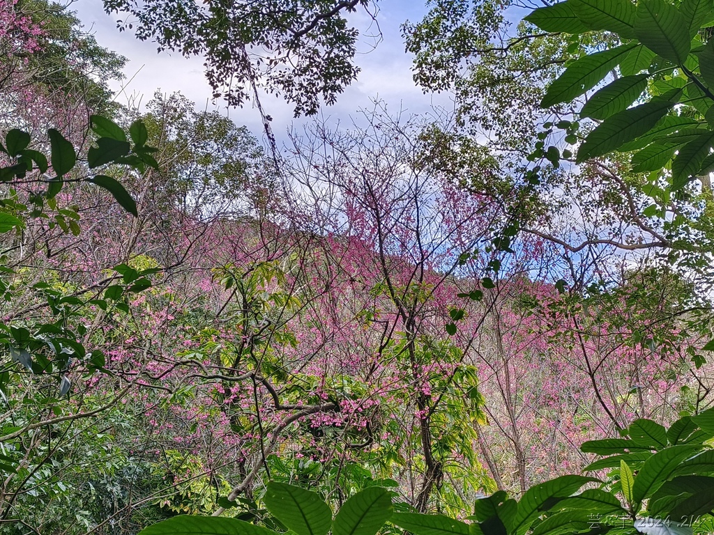 桃園虎頭山公園 の 虎頭山南南峰 & 虎頭山南峰 & 三分山