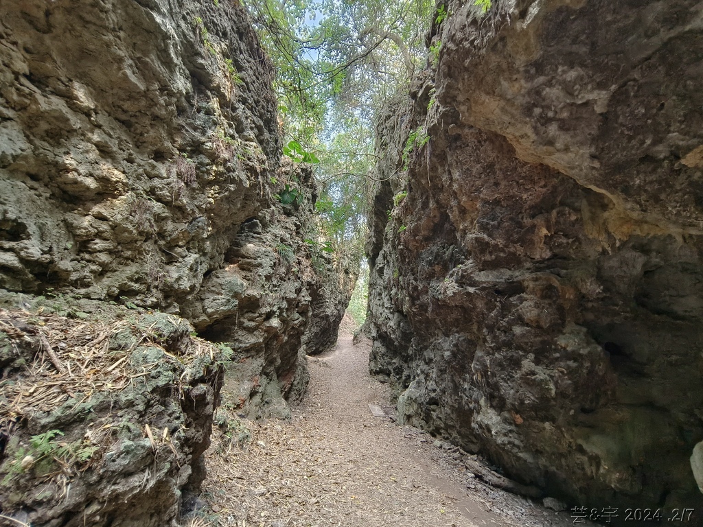 高雄大崗山風景區 の 盤龍峽谷 & 大岡山(小百岳)