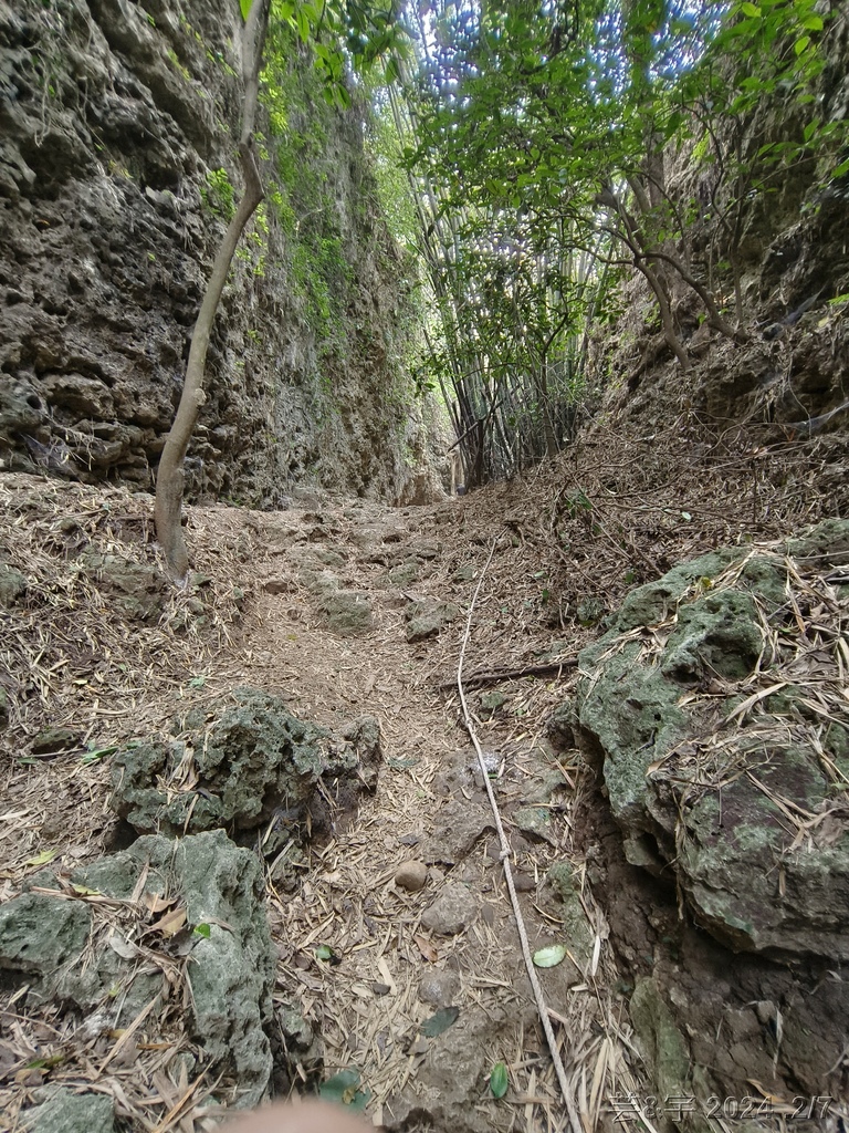 高雄大崗山風景區 の 盤龍峽谷 & 大岡山(小百岳)