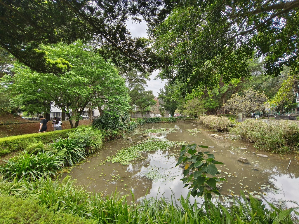 桃園中壢 の 國旗屋米干店  ~旗海飄揚的雲南米干小吃店~
