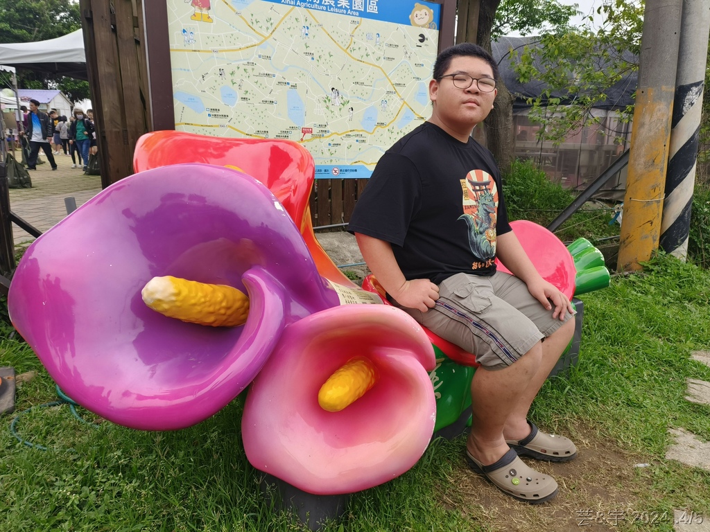 桃園大園 の  2024桃園溪海花卉農遊趣