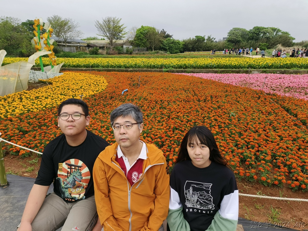 桃園大園 の  2024桃園溪海花卉農遊趣