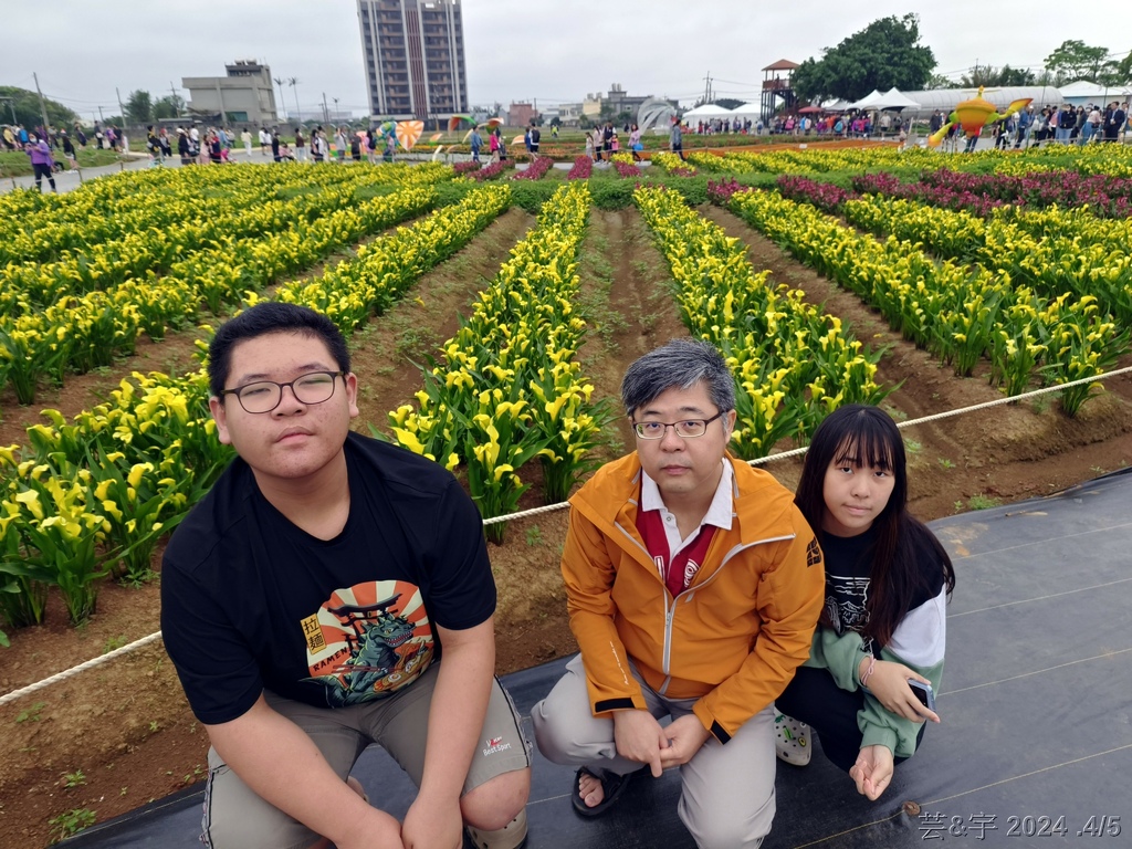 桃園大園 の  2024桃園溪海花卉農遊趣