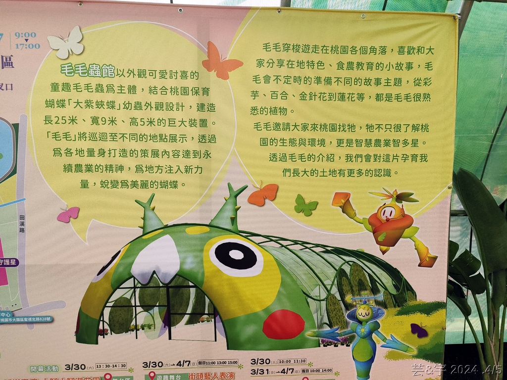 桃園大園 の  2024桃園溪海花卉農遊趣