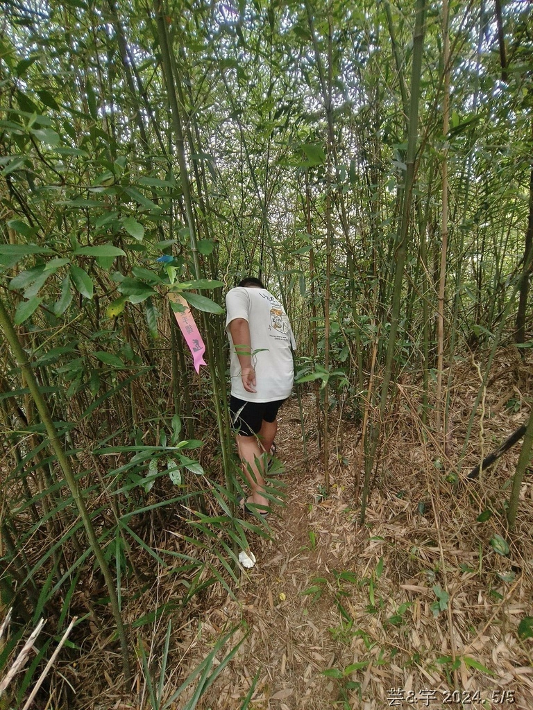 新竹寶山 の 面盆寮山 & 寶二水庫