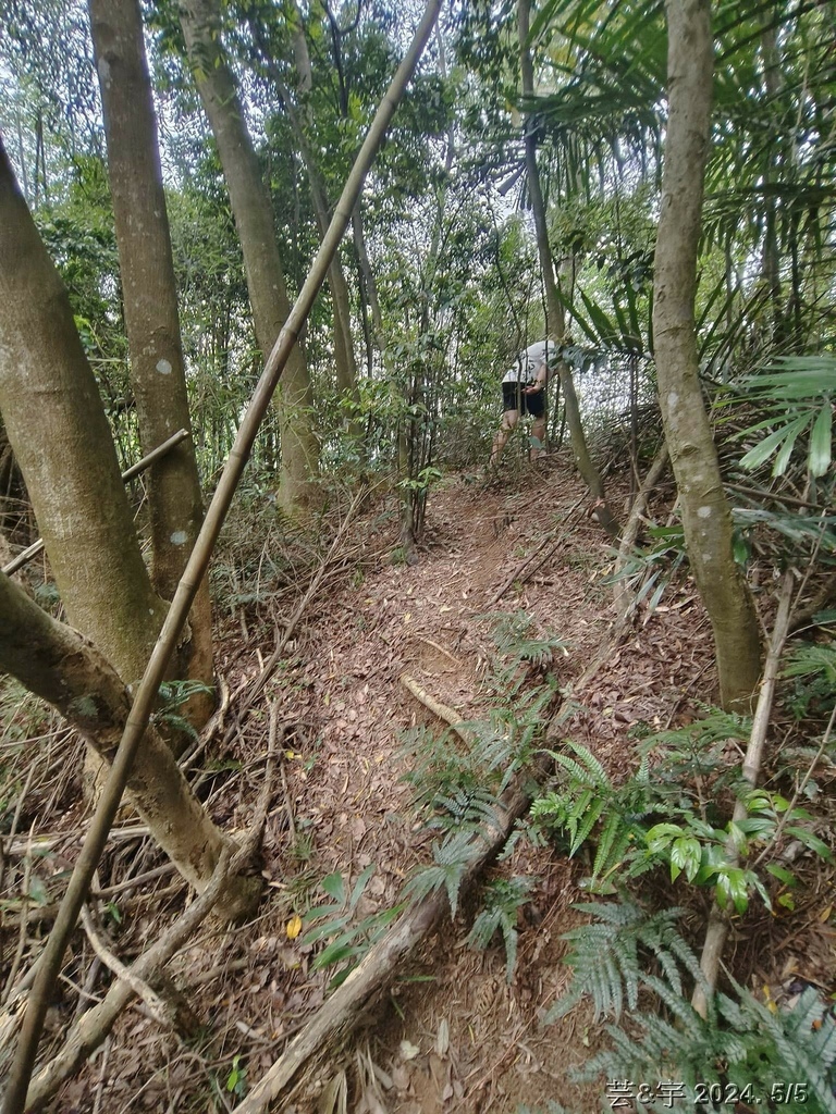 新竹寶山 の 面盆寮山 & 寶二水庫