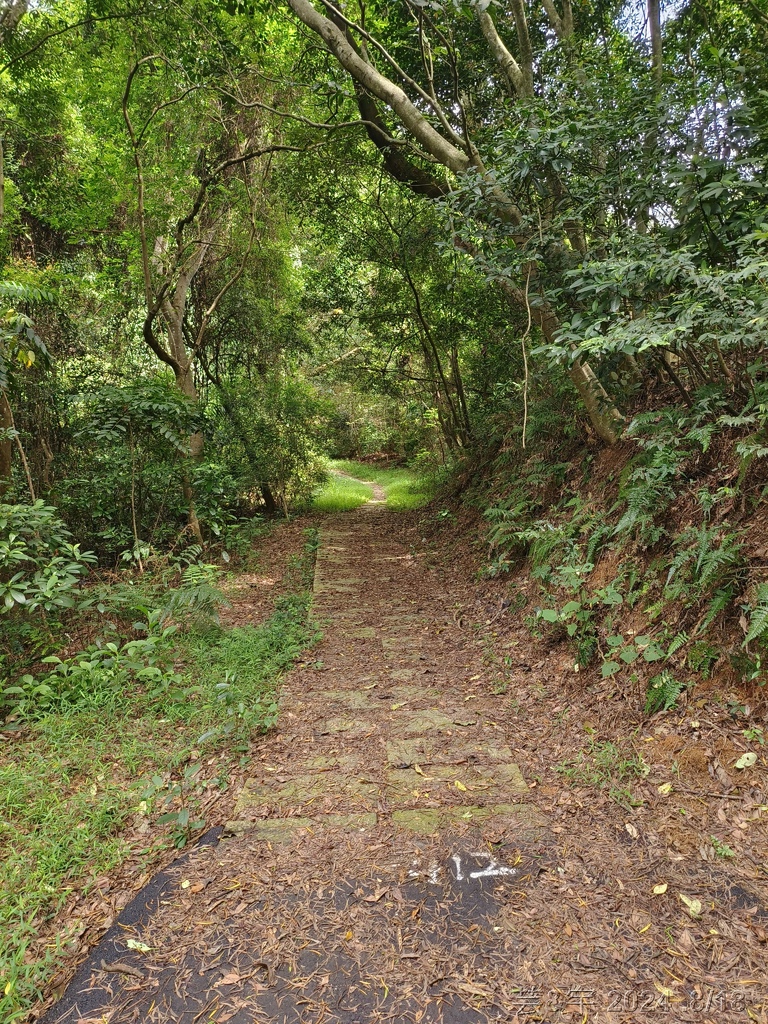 新竹芎林 の 三段崎古道 & 石頭坑山西南峰 & 石頭坑山