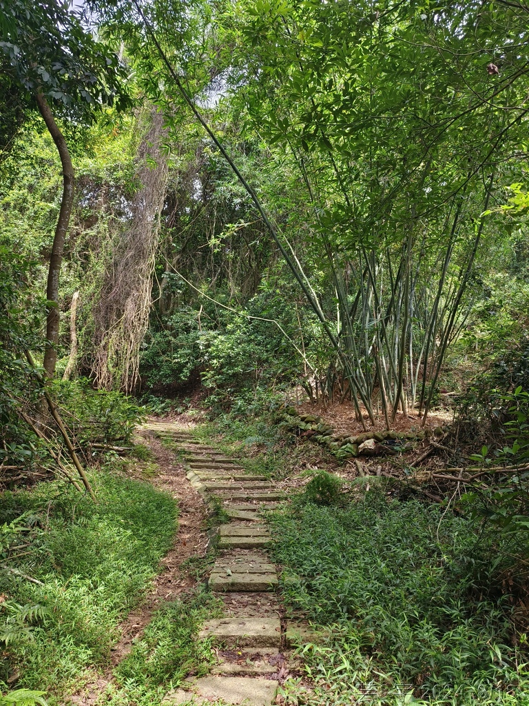 新竹芎林 の 三段崎古道 & 石頭坑山西南峰 & 石頭坑山
