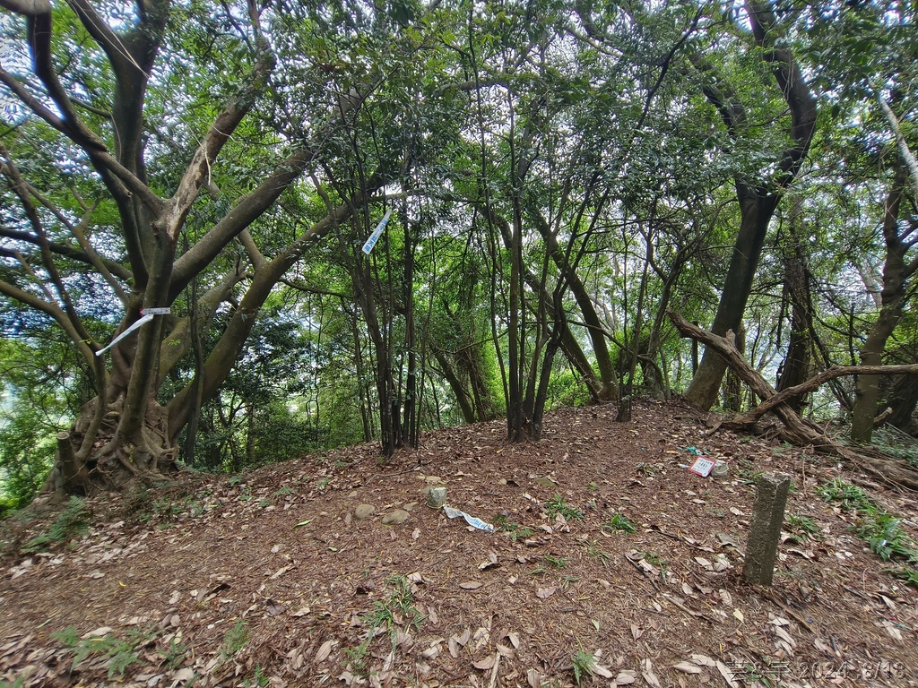 新竹芎林 の 三段崎古道 & 石頭坑山西南峰 & 石頭坑山