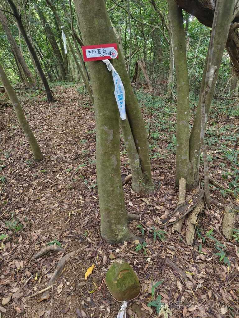 新竹芎林 の 三段崎古道 & 石頭坑山西南峰 & 石頭坑山