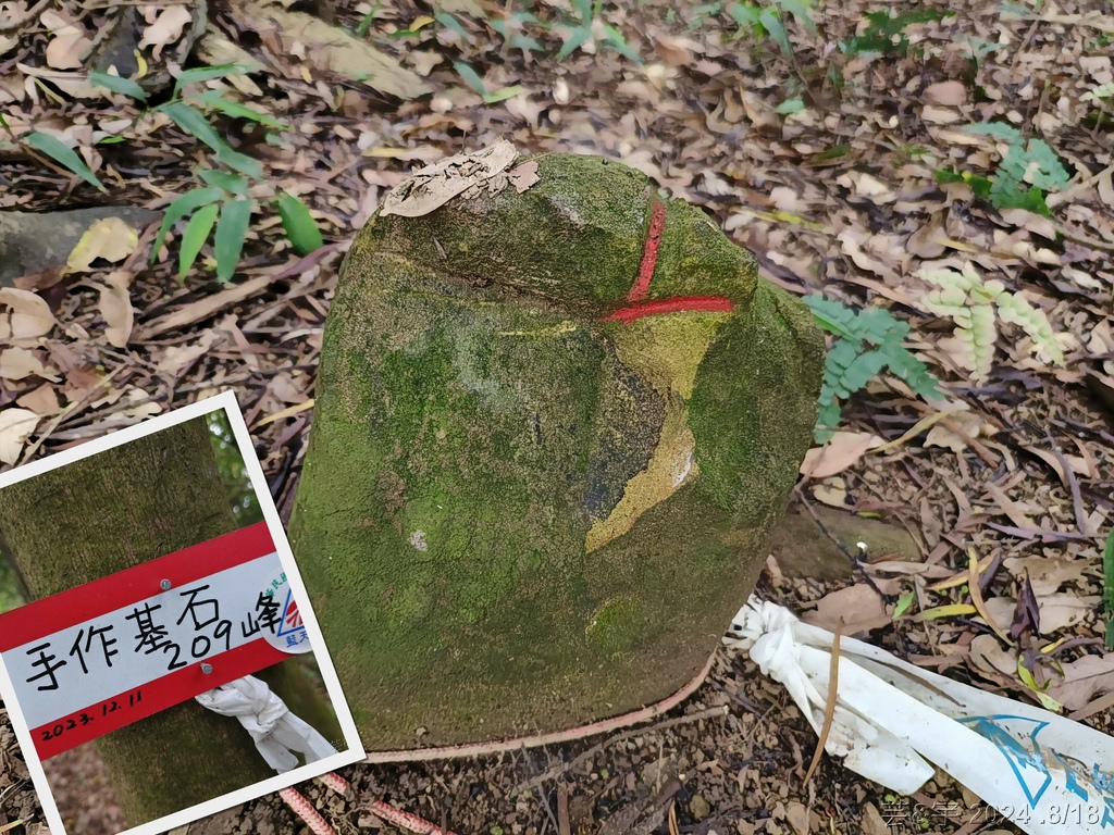 新竹芎林 の 三段崎古道 & 石頭坑山西南峰 & 石頭坑山