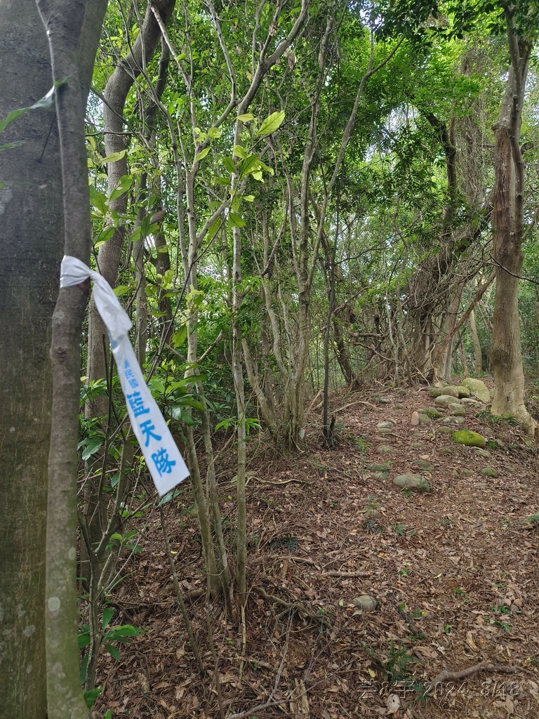 新竹芎林 の 三段崎古道 & 石頭坑山西南峰 & 石頭坑山