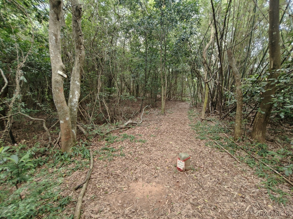 新竹芎林 の 三段崎古道 & 石頭坑山西南峰 & 石頭坑山