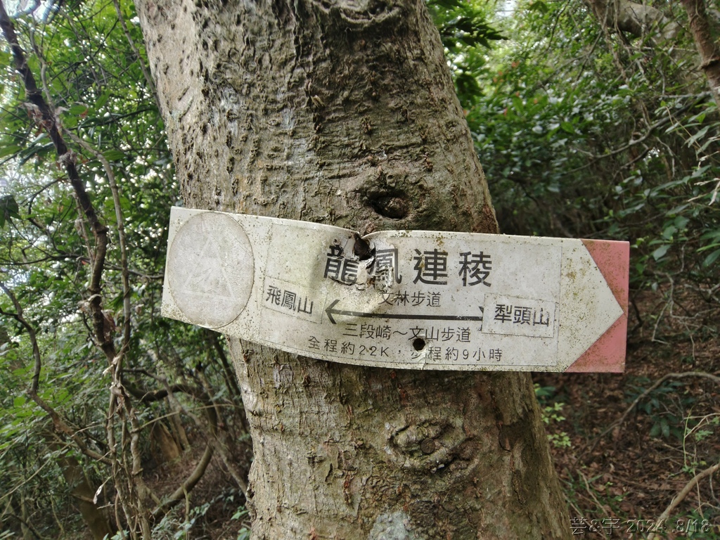 新竹芎林 の 三段崎古道 & 石頭坑山西南峰 & 石頭坑山