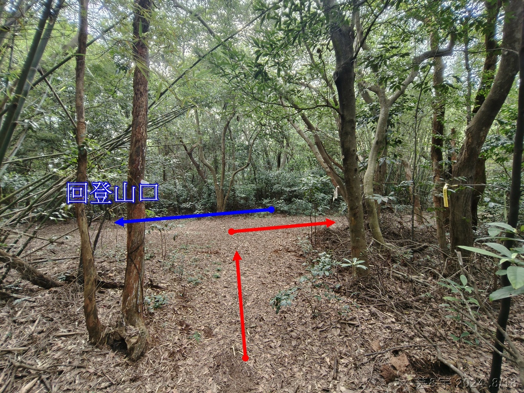 新竹芎林 の 三段崎古道 & 石頭坑山西南峰 & 石頭坑山