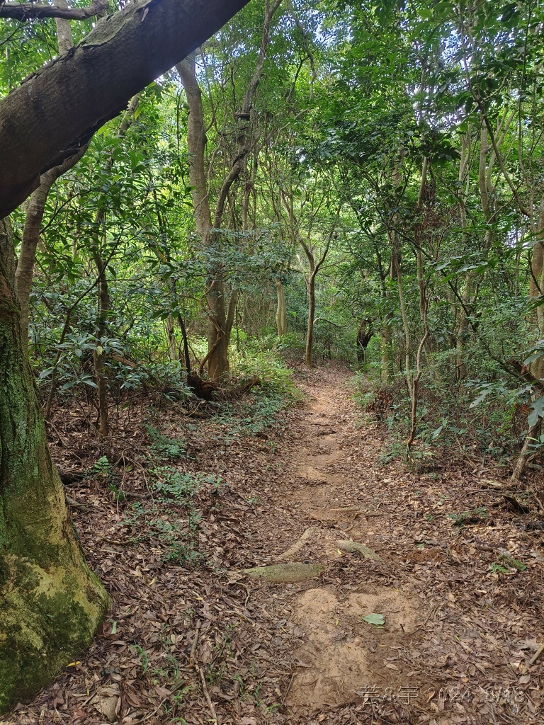 新竹芎林 の 三段崎古道 & 石頭坑山西南峰 & 石頭坑山