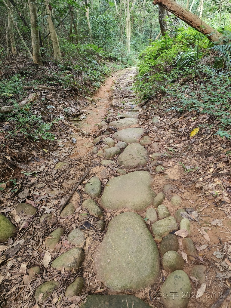 新竹芎林 の 三段崎古道 & 石頭坑山西南峰 & 石頭坑山