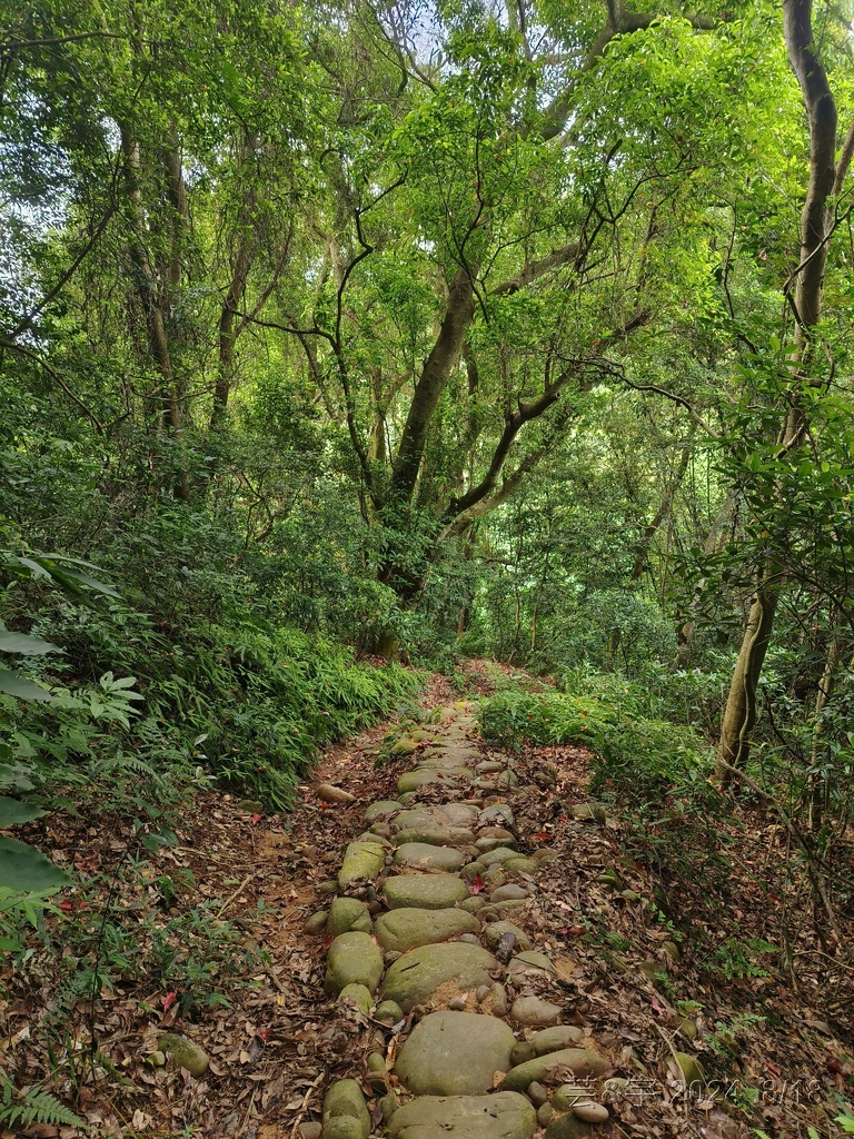 新竹芎林 の 三段崎古道 & 石頭坑山西南峰 & 石頭坑山