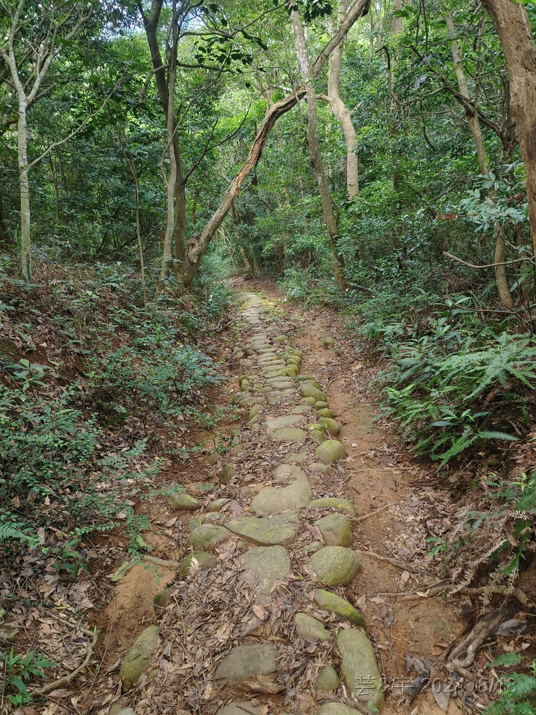 新竹芎林 の 三段崎古道 & 石頭坑山西南峰 & 石頭坑山
