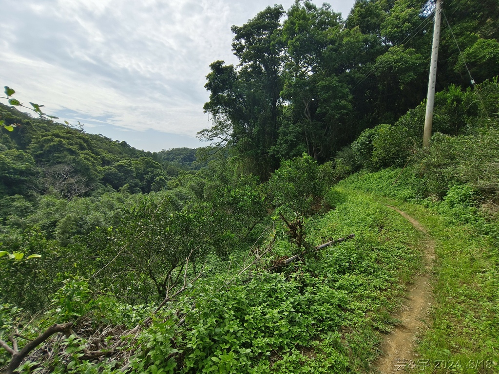 新竹芎林 の 三段崎古道 & 石頭坑山西南峰 & 石頭坑山