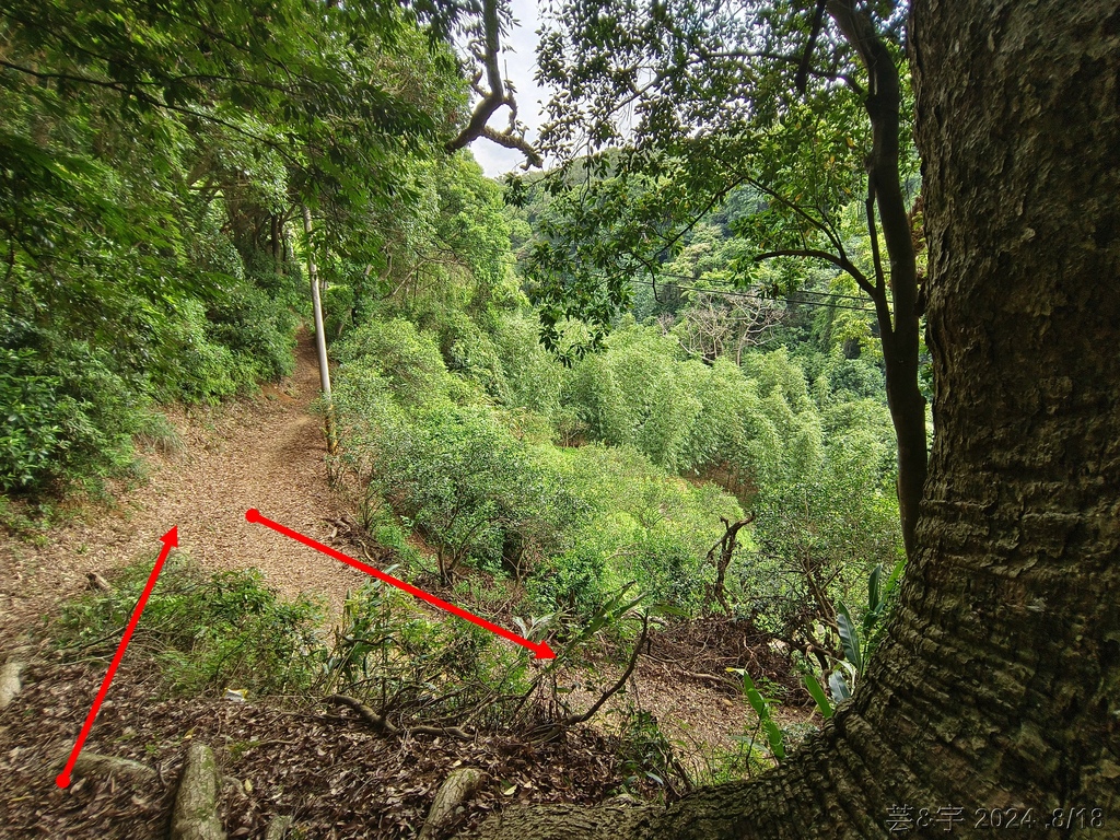 新竹芎林 の 三段崎古道 & 石頭坑山西南峰 & 石頭坑山