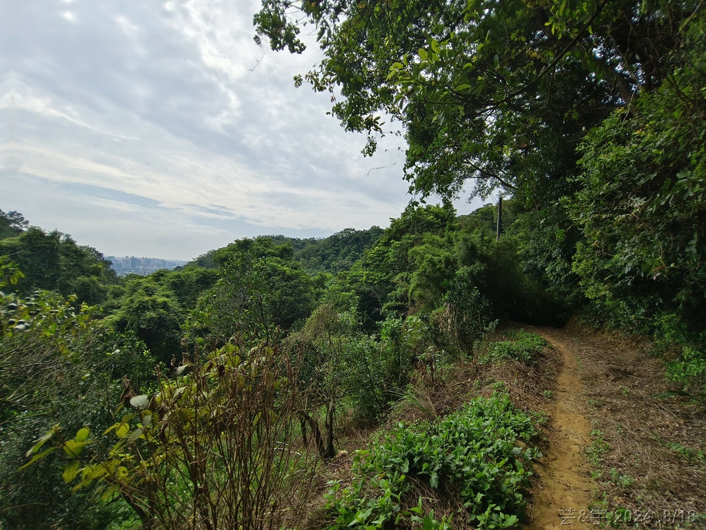 新竹芎林 の 三段崎古道 & 石頭坑山西南峰 & 石頭坑山