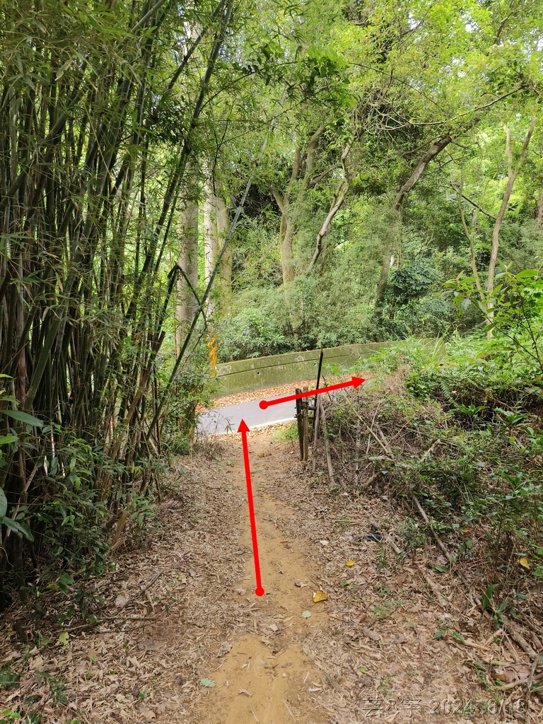 新竹芎林 の 三段崎古道 & 石頭坑山西南峰 & 石頭坑山