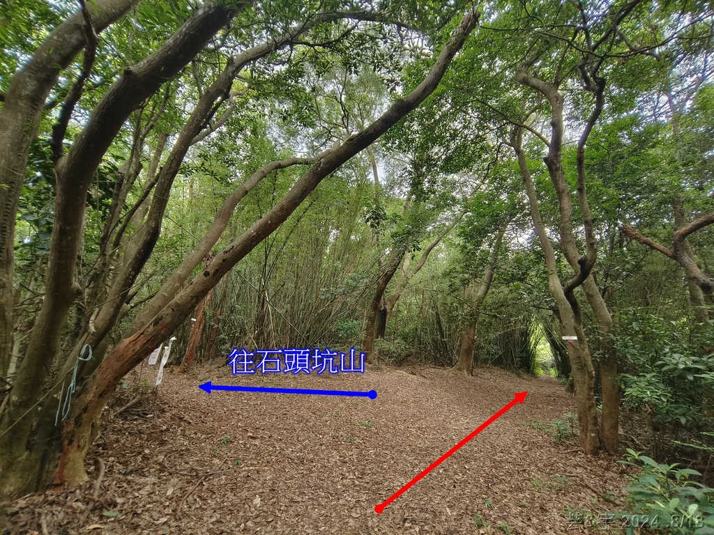 新竹芎林 の 三段崎古道 & 石頭坑山西南峰 & 石頭坑山