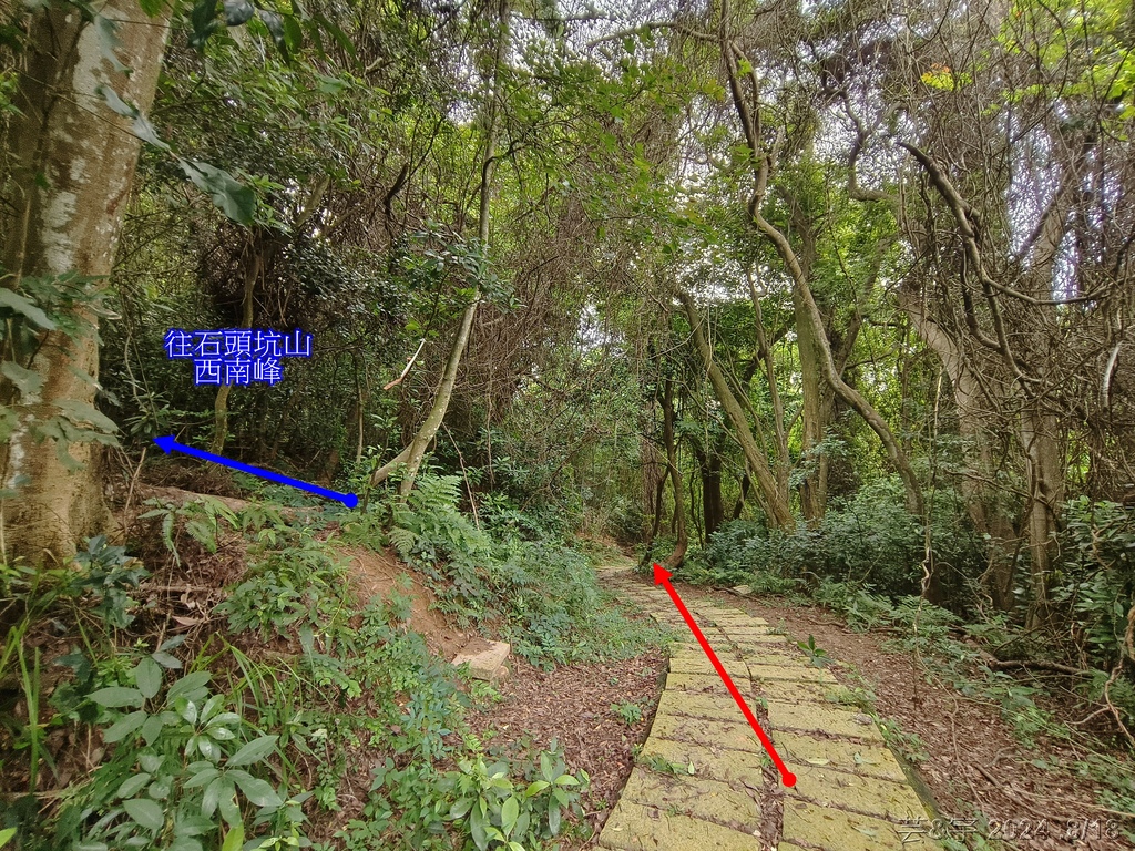 新竹芎林 の 三段崎古道 & 石頭坑山西南峰 & 石頭坑山