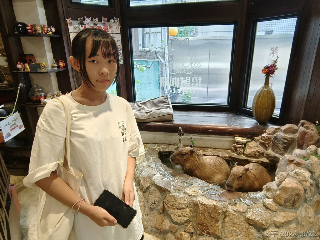 新竹市北區 の 招財咖啡  ~有卡皮巴拉及貓咪的寵物餐廳~