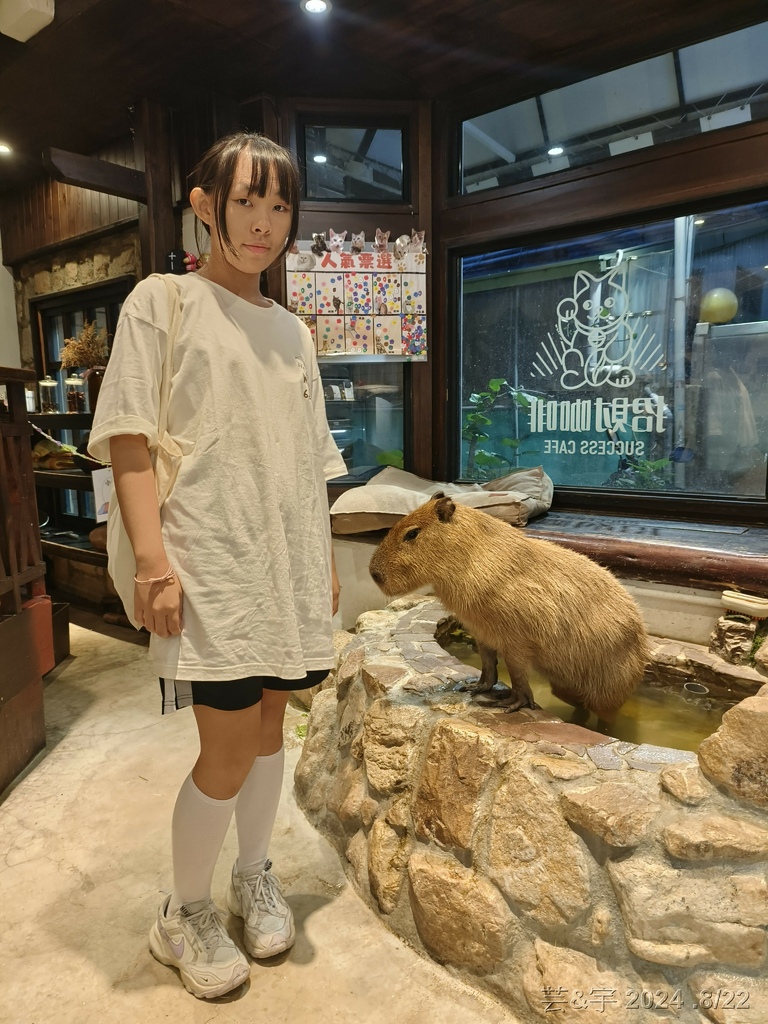 新竹市北區 の 招財咖啡  ~有卡皮巴拉及貓咪的寵物餐廳~