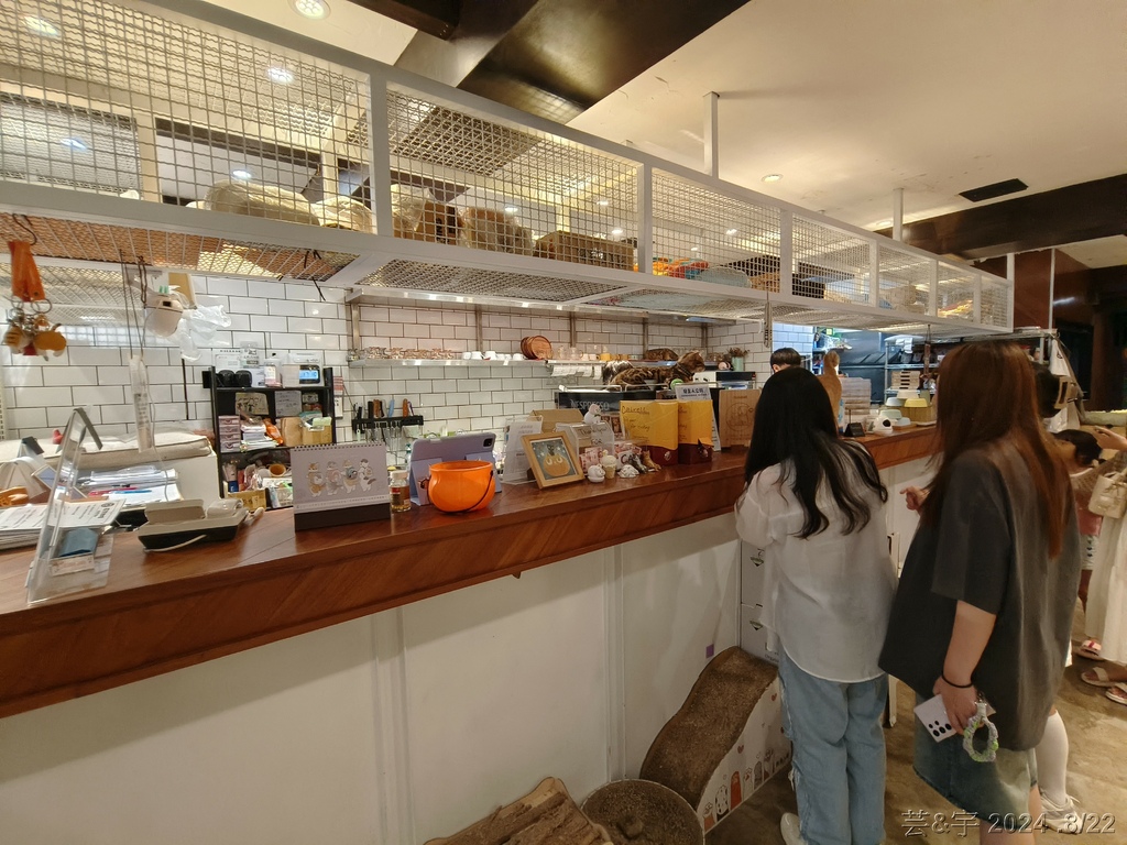 新竹市北區 の 招財咖啡  ~有卡皮巴拉及貓咪的寵物餐廳~