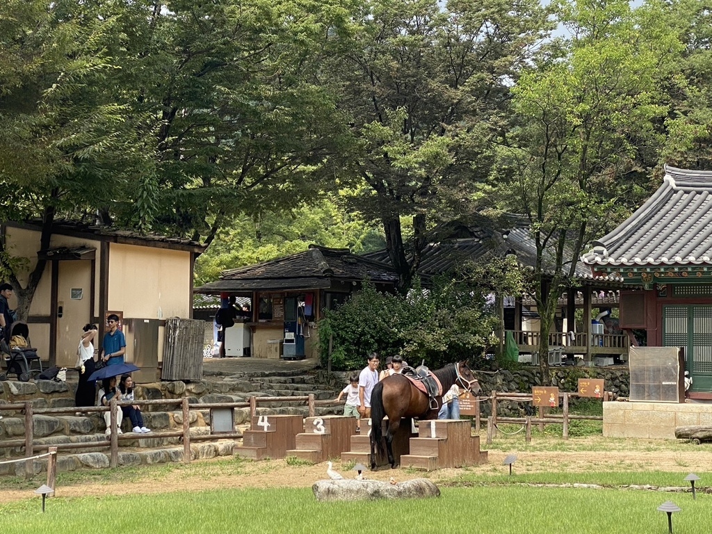 2024 韓國之旅（Day3）: 韓國民俗村한국민속촌 (含