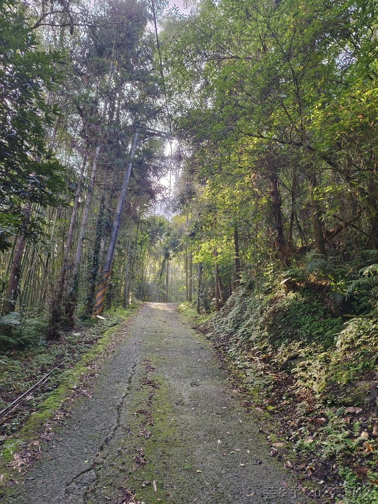 新竹五峰 の 鬼澤山 & 鬼澤山西峰  ~泰雅族的聖山~