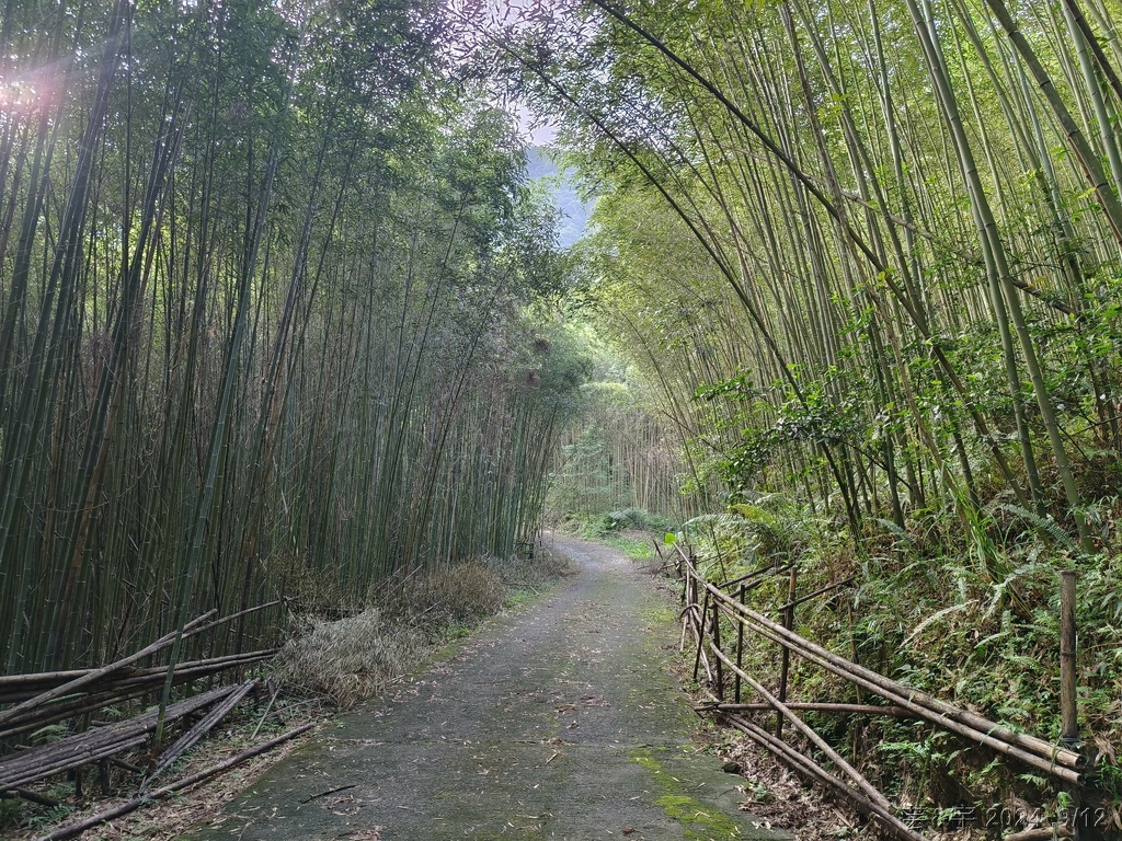 新竹五峰 の 鬼澤山 & 鬼澤山西峰  ~泰雅族的聖山~