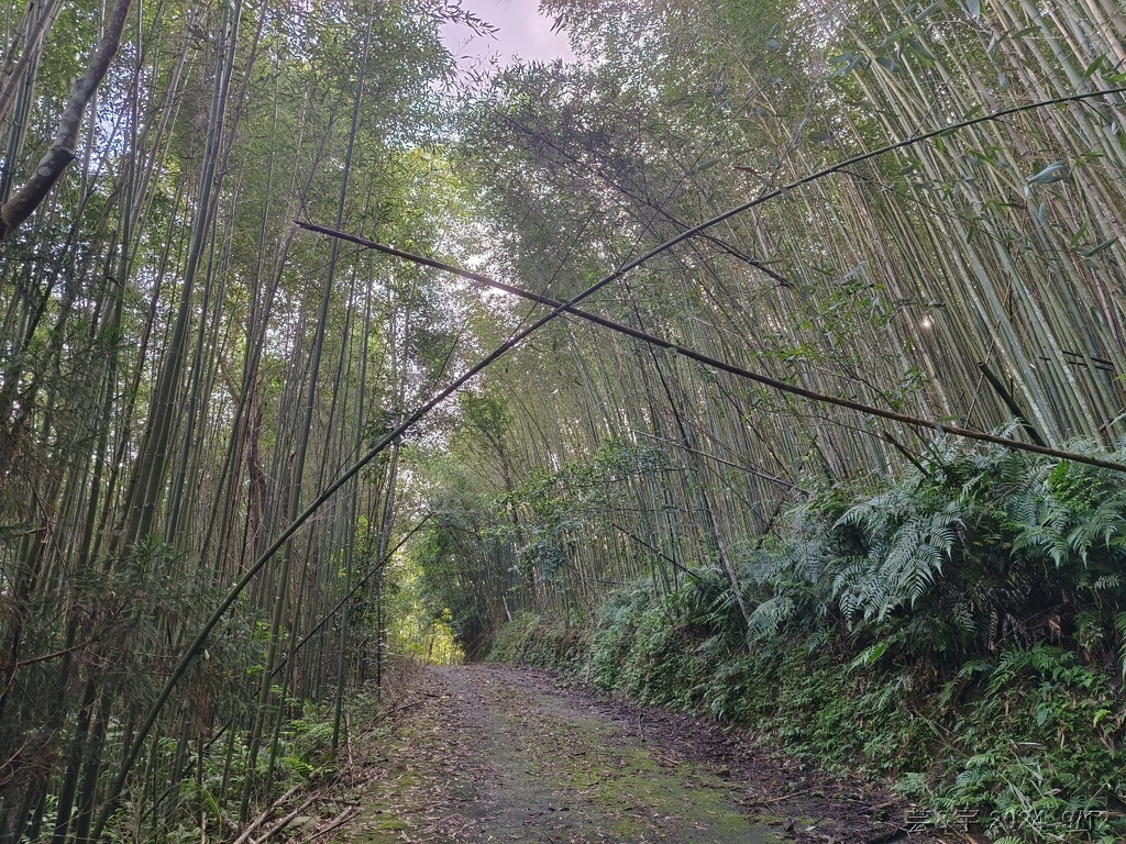 新竹五峰 の 鬼澤山 & 鬼澤山西峰  ~泰雅族的聖山~