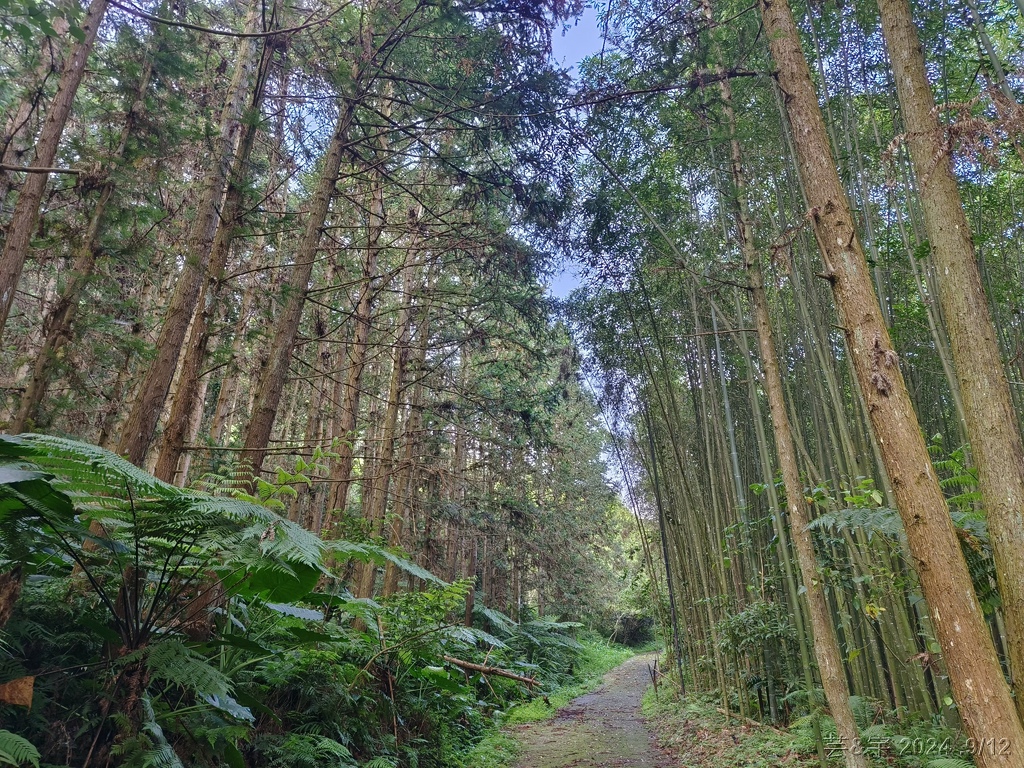 新竹五峰 の 鬼澤山 & 鬼澤山西峰  ~泰雅族的聖山~