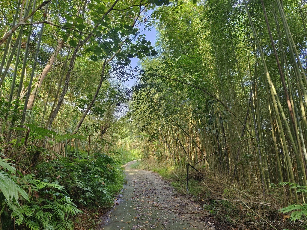 新竹五峰 の 鬼澤山 & 鬼澤山西峰  ~泰雅族的聖山~
