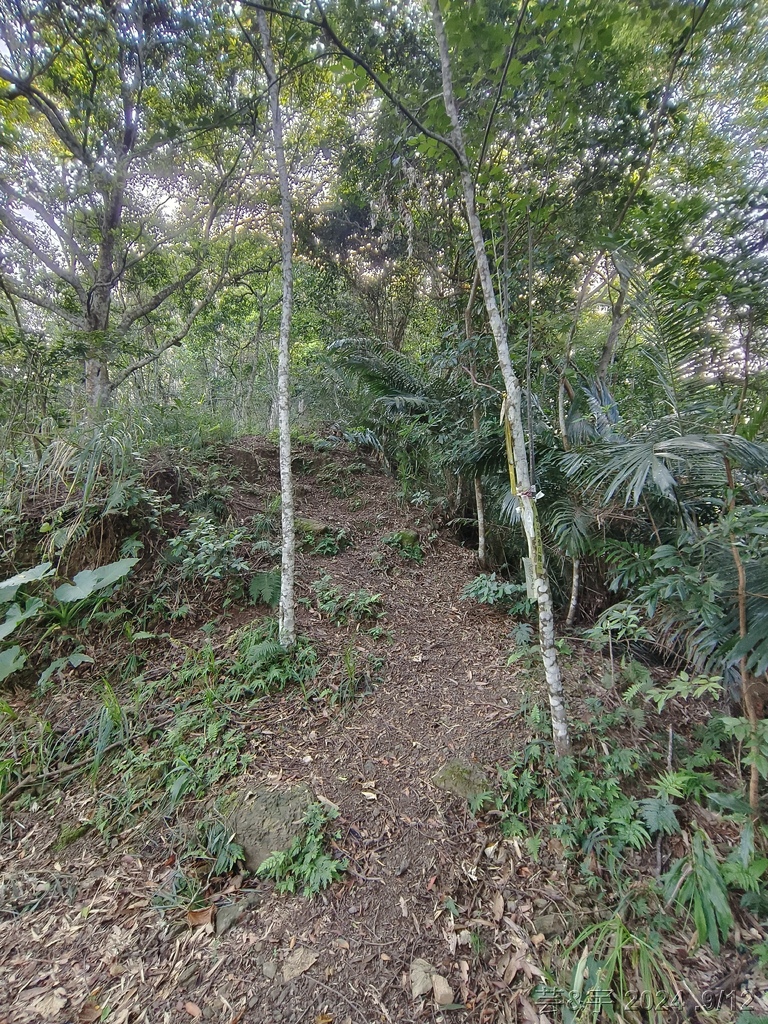 新竹五峰 の 鬼澤山 & 鬼澤山西峰  ~泰雅族的聖山~