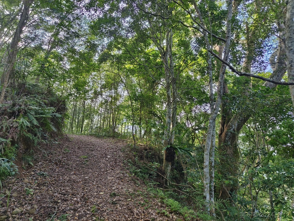 新竹五峰 の 鬼澤山 & 鬼澤山西峰  ~泰雅族的聖山~