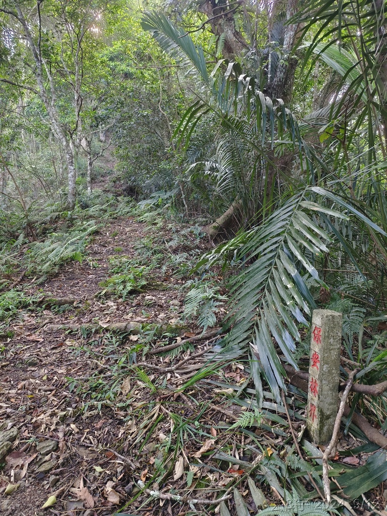 新竹五峰 の 鬼澤山 & 鬼澤山西峰  ~泰雅族的聖山~