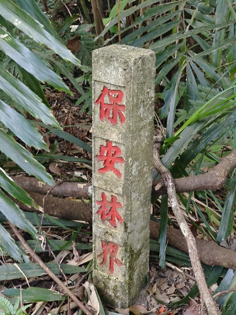 新竹五峰 の 鬼澤山 & 鬼澤山西峰  ~泰雅族的聖山~